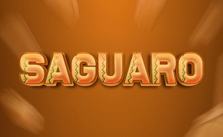 Image Saguaro